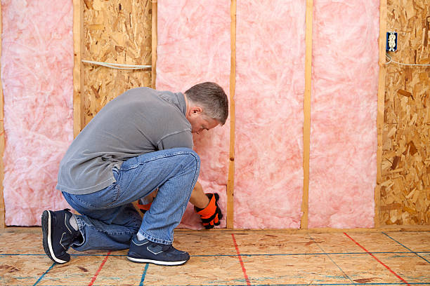 Best Fiberglass Insulation  in Como, WI